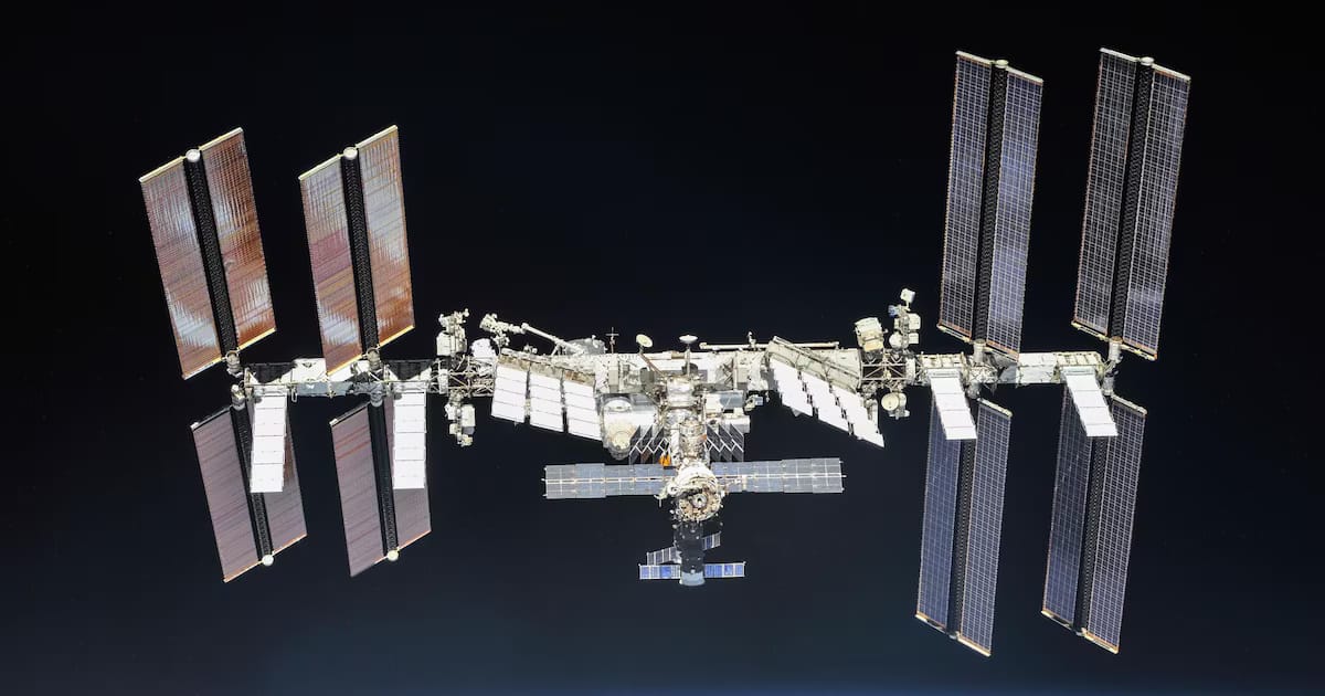 Un experimento con gusanos busca pistas para proteger la salud de los astronautas en futuras misiones lunares