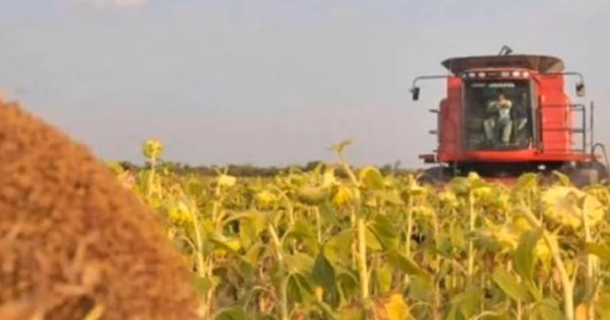 La agricultura impulsa la actividad económica