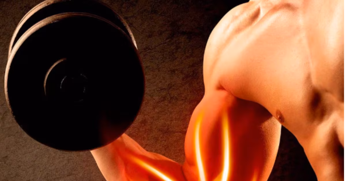 Cómo desarrollar masa muscular: las claves del entrenamiento y la nutrición