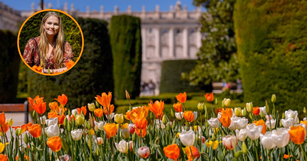 El jardín secreto de tulipanes regalado a Madrid por Amalia, Países Bajos: junto al Palacio Real, perfecto para una visita primaveral