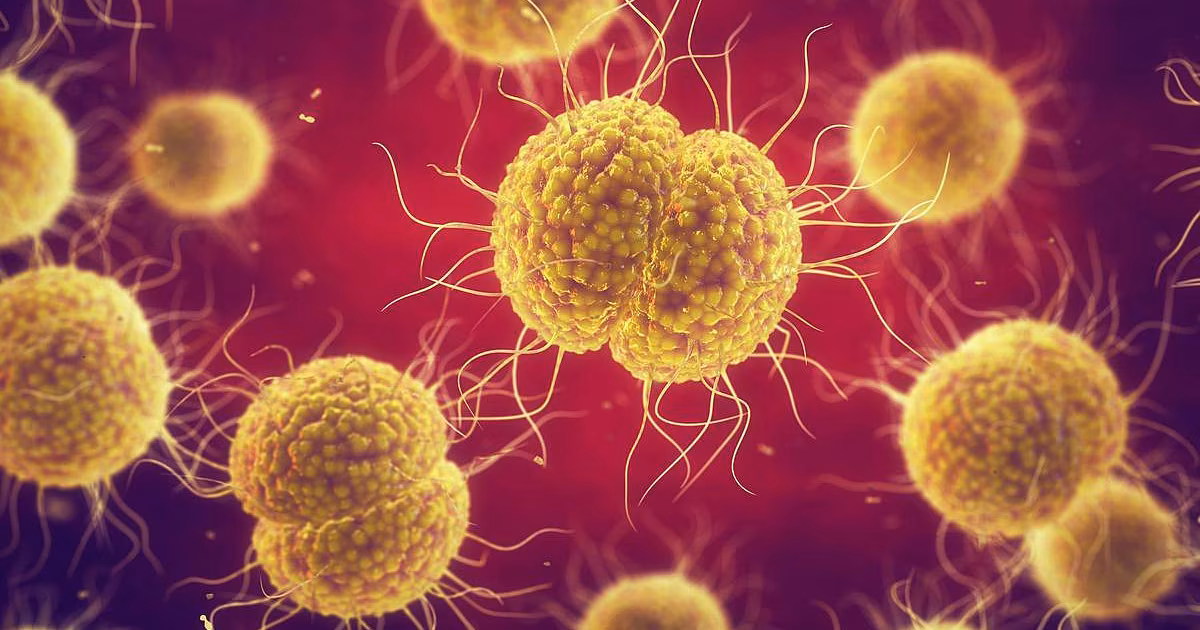 Un nuevo chip cervical podría revolucionar el tratamiento de las infecciones de transmisión sexual