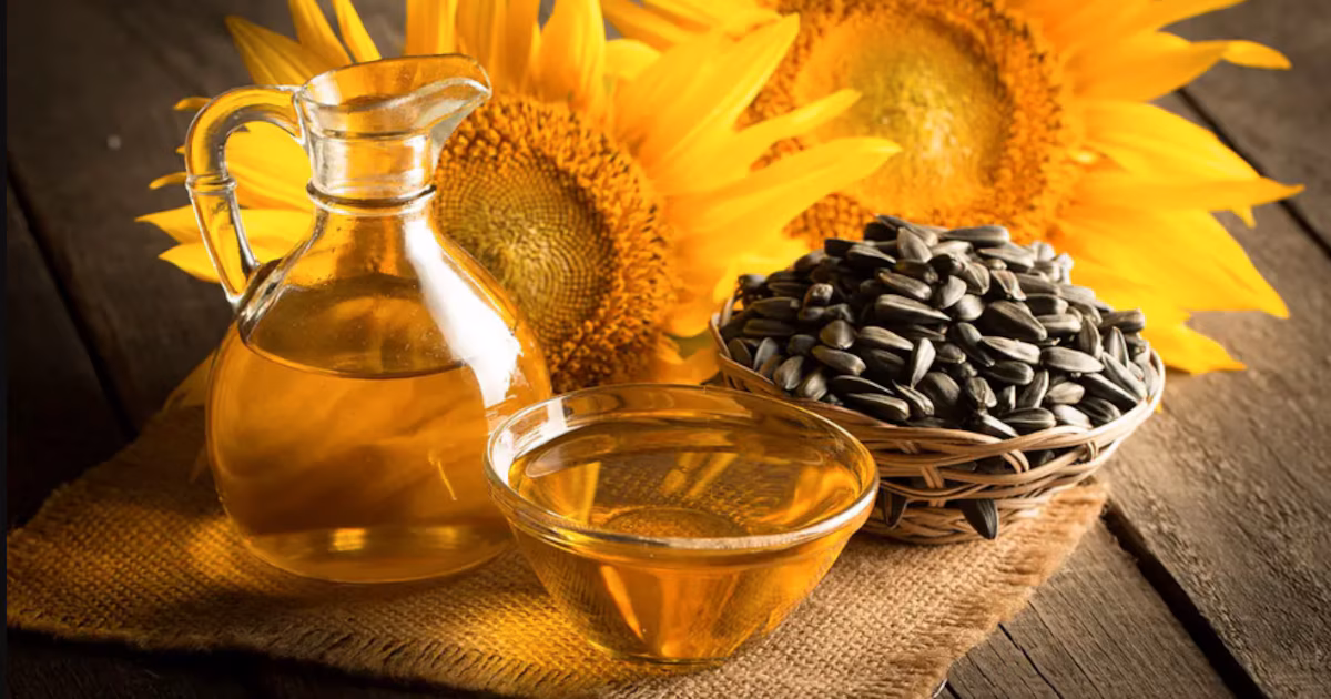 girasol bate récord