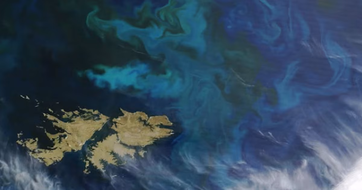 Condenan explotación a gran escala de recursos pesqueros por parte de Argentina en las Islas Malvinas