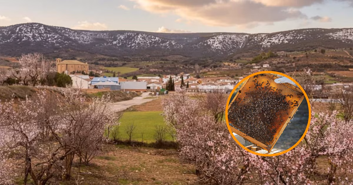 La mejor miel del mundo es la «Made in Cuenca»: producida en este pueblo con restos de antiguas murallas y una iglesia del siglo XVI