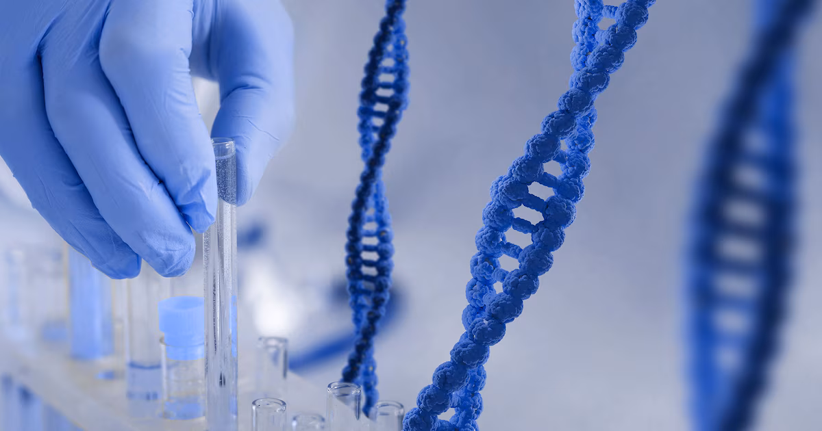 Por qué el ADN mitocondrial cambia con la edad y cómo afecta la salud después de los 60 años