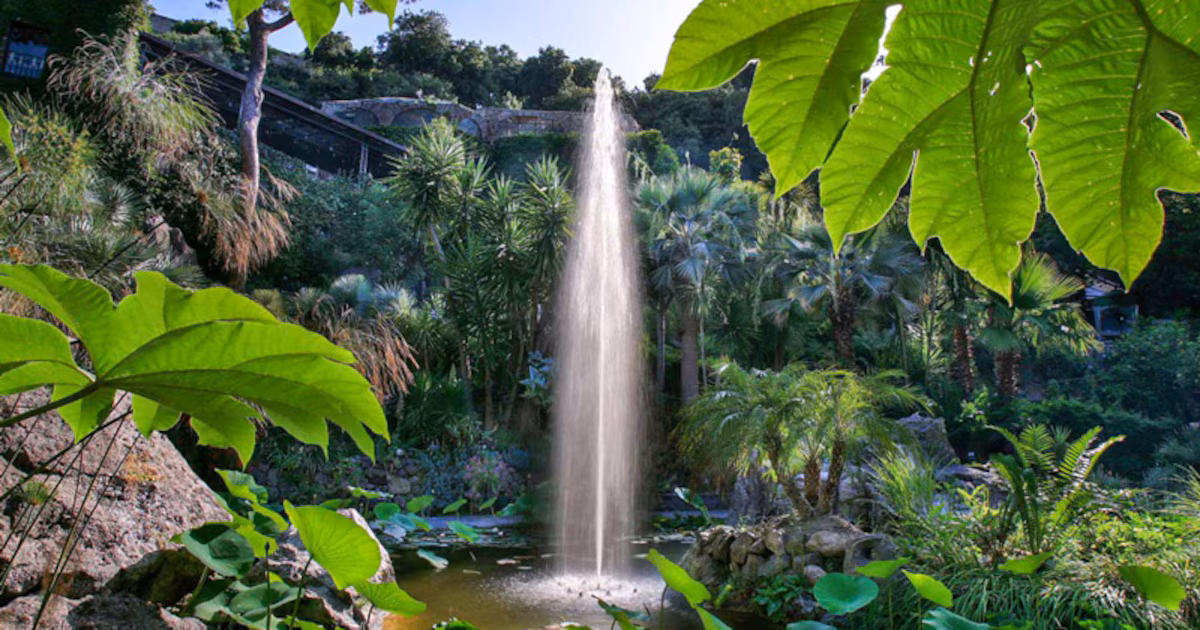 El jardín secreto de Nápoles, parecido a una selva tropical: una escena de cuento de hadas en el mar