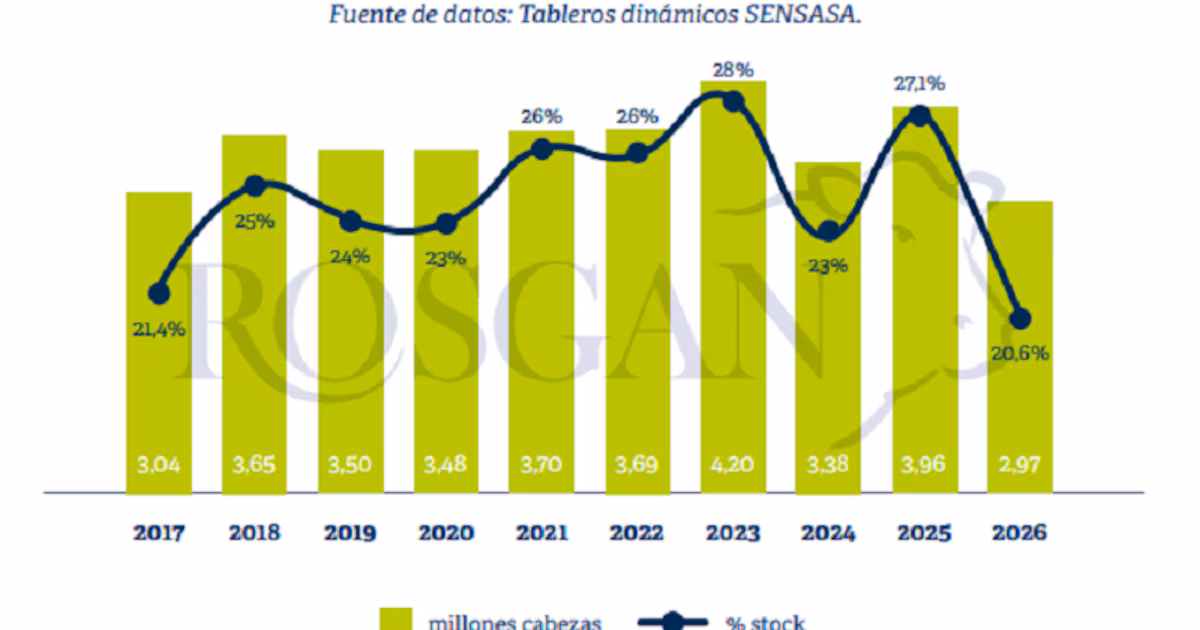 Retención récord de terneros: la cosecha más lenta en una década cambia la dinámica ganadera