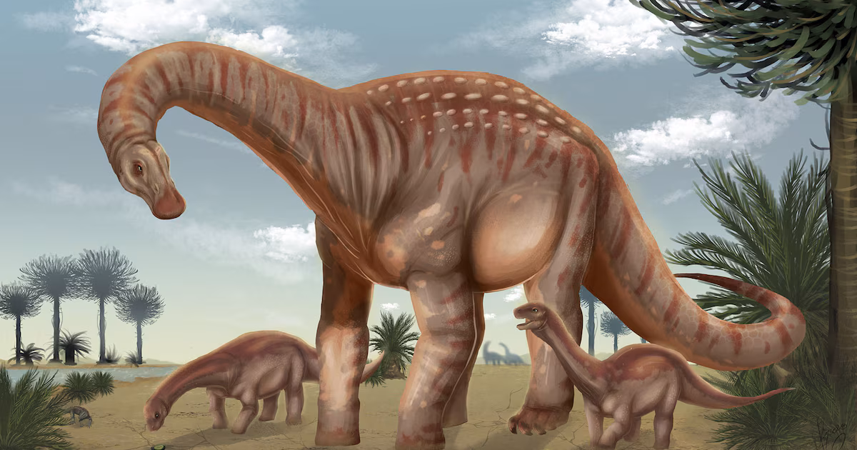 Descubren en Uruguay un dinosaurio gigante de 83 millones de años y lo llaman «protector»