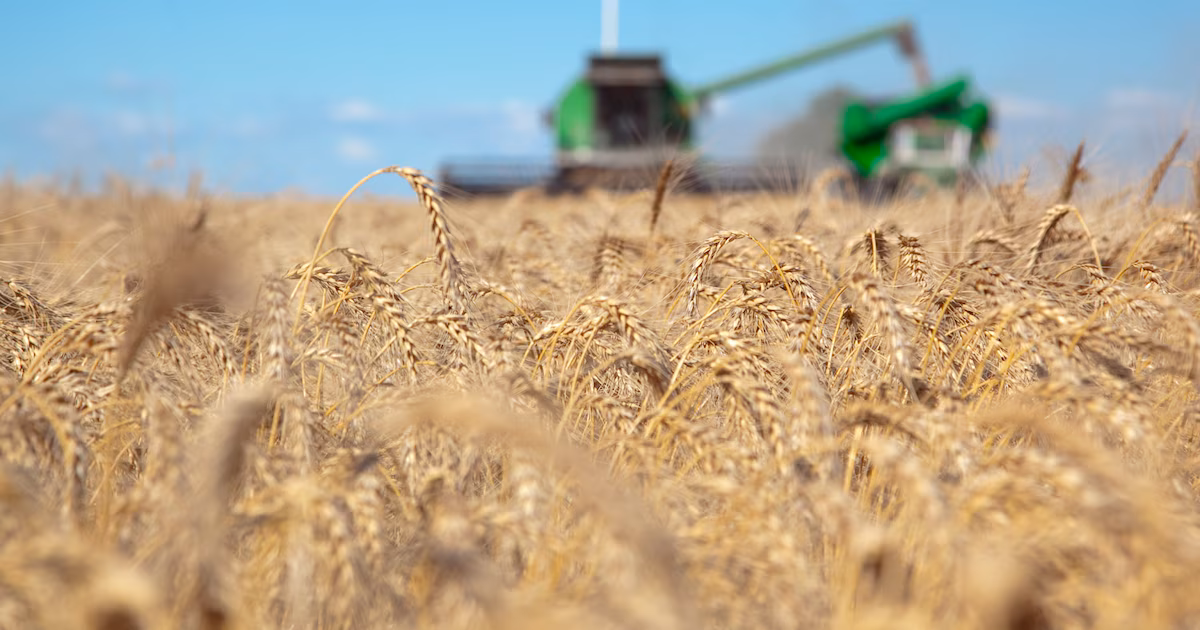 Las exportaciones de la industria agrícola en el primer semestre del año ascendieron a casi 27 mil millones de dólares