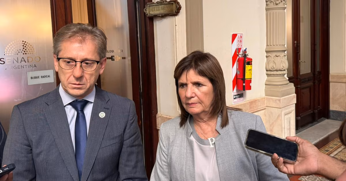 Senado: ¿Qué sistema de incentivo a la inversión le pide la UCR al gobierno que proponga?