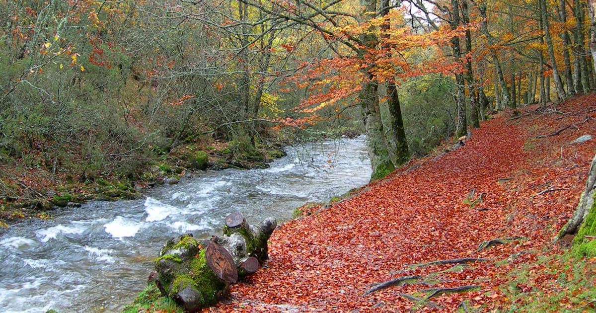 Las mejores rutas de senderismo de otoño en Madrid