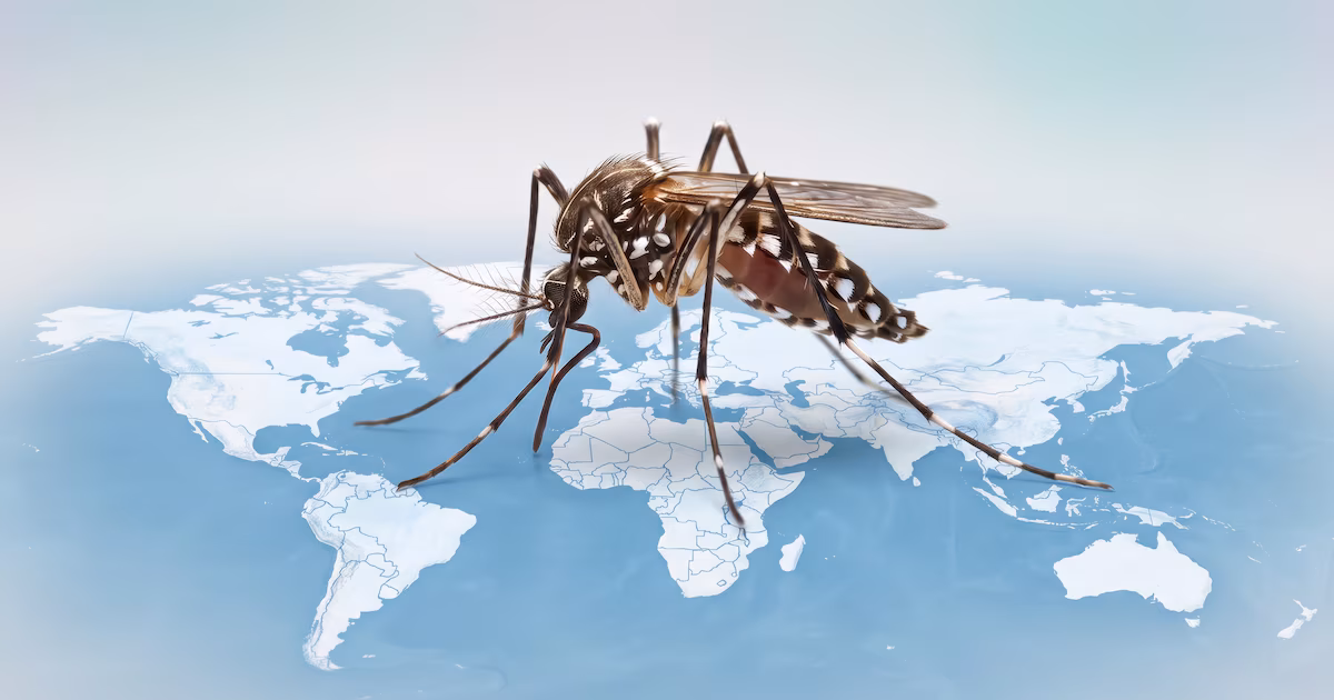 Día Internacional del Dengue: Por qué se está expandiendo a lugares inesperados y cómo reducir el riesgo de contagio